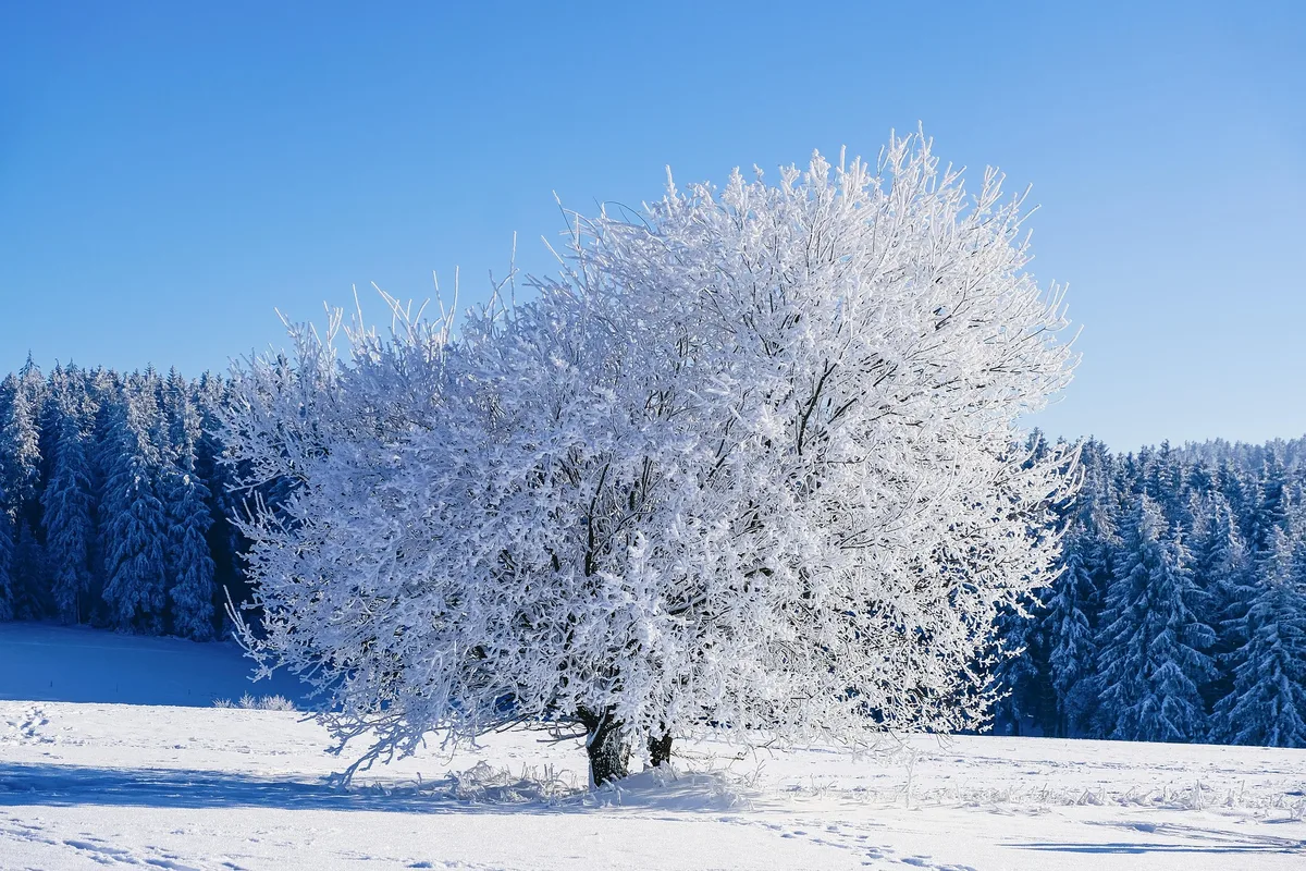 Winter Cool — Cool, Clear Jewel Tone Personal Color Type
